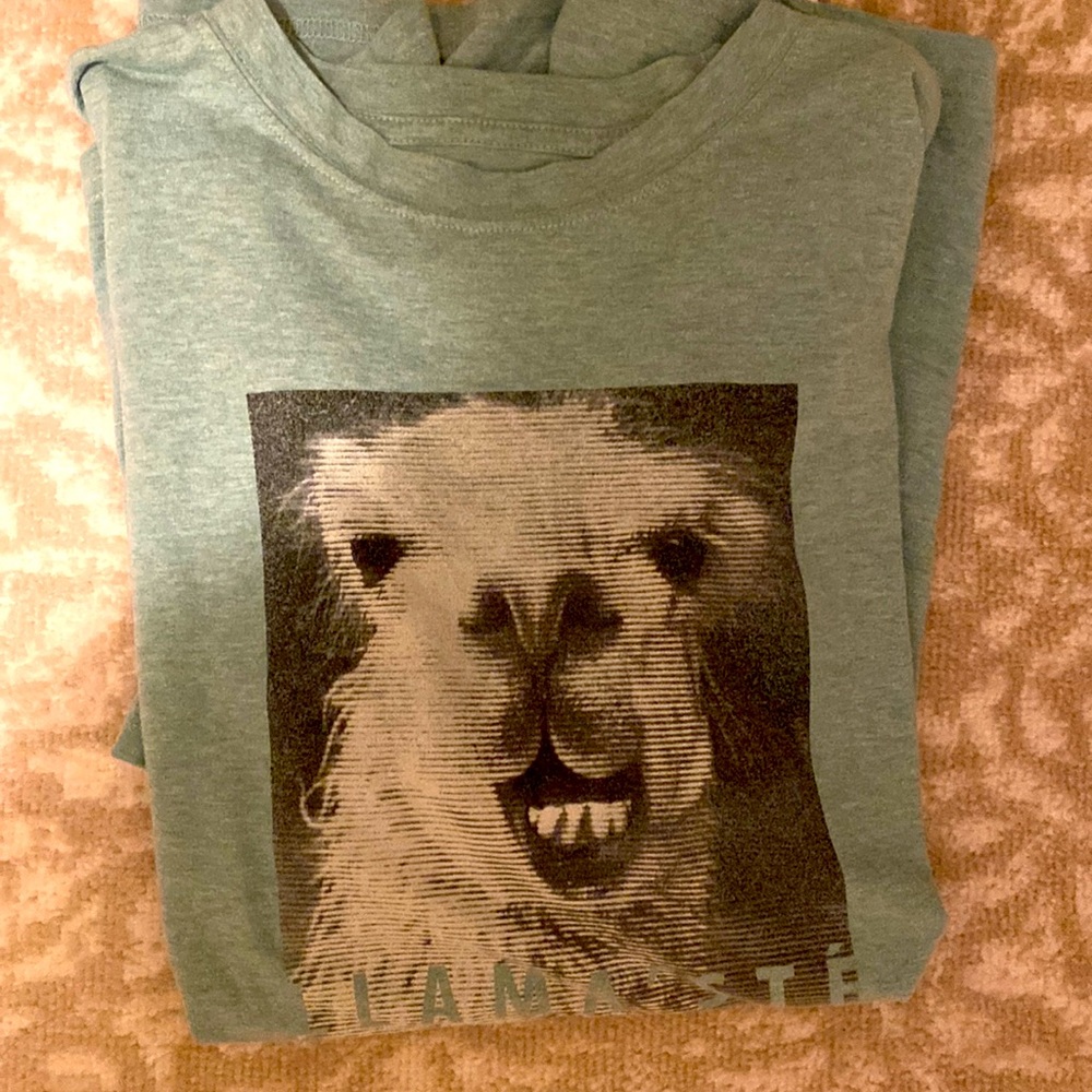 Prajna men’s Lamaste’ t-shirt, worn twice.  Too small organic cotton